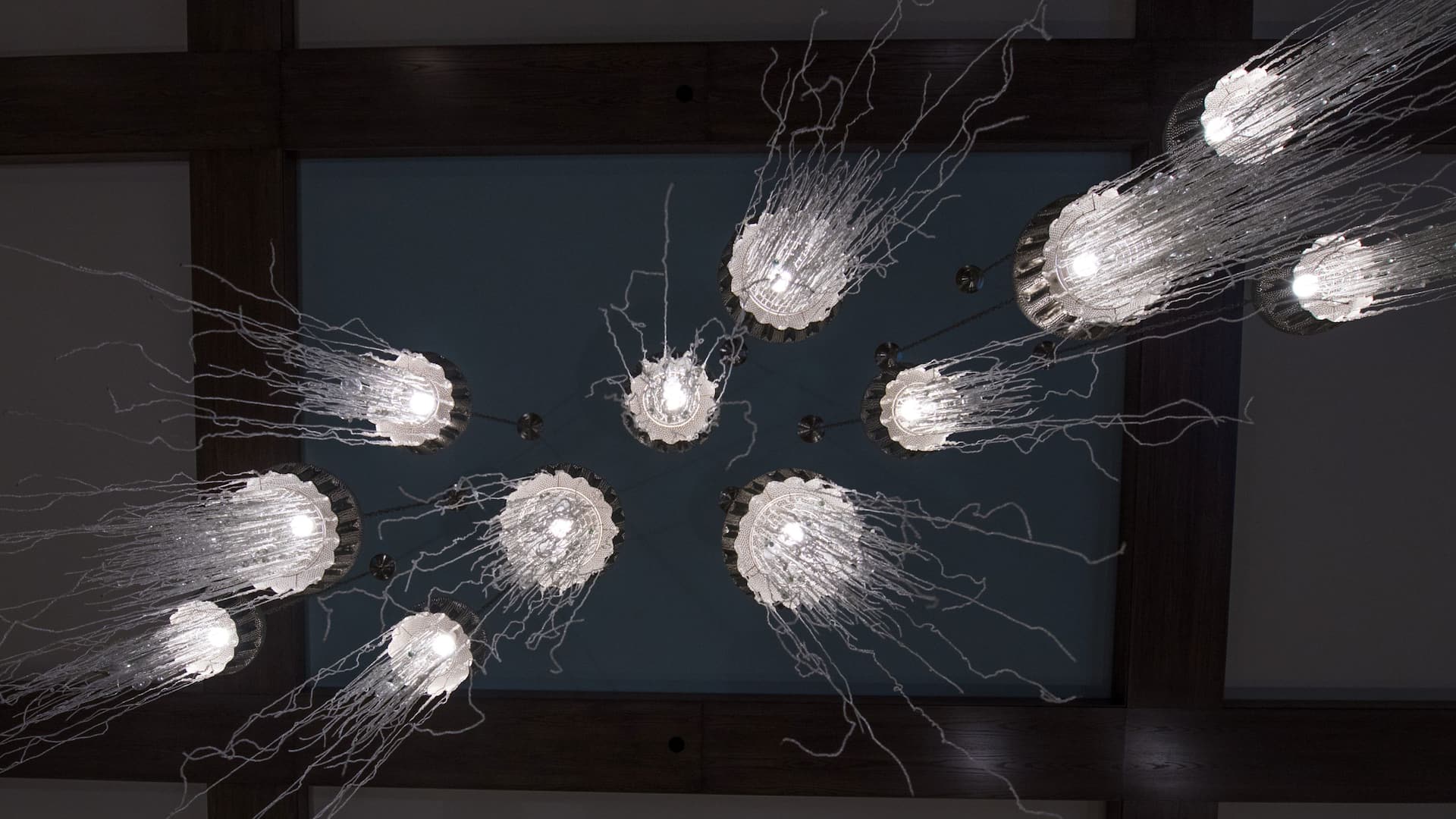 Hyatt House Naples/5th Avenue Jellyfish Lights