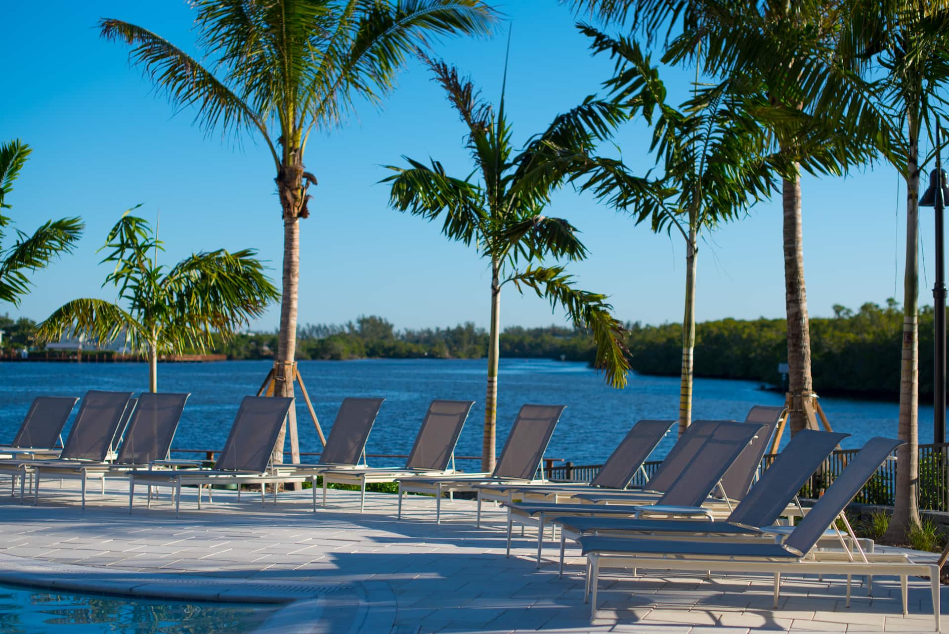 Hyatt House Naples/5th Avenue Pool Riverview