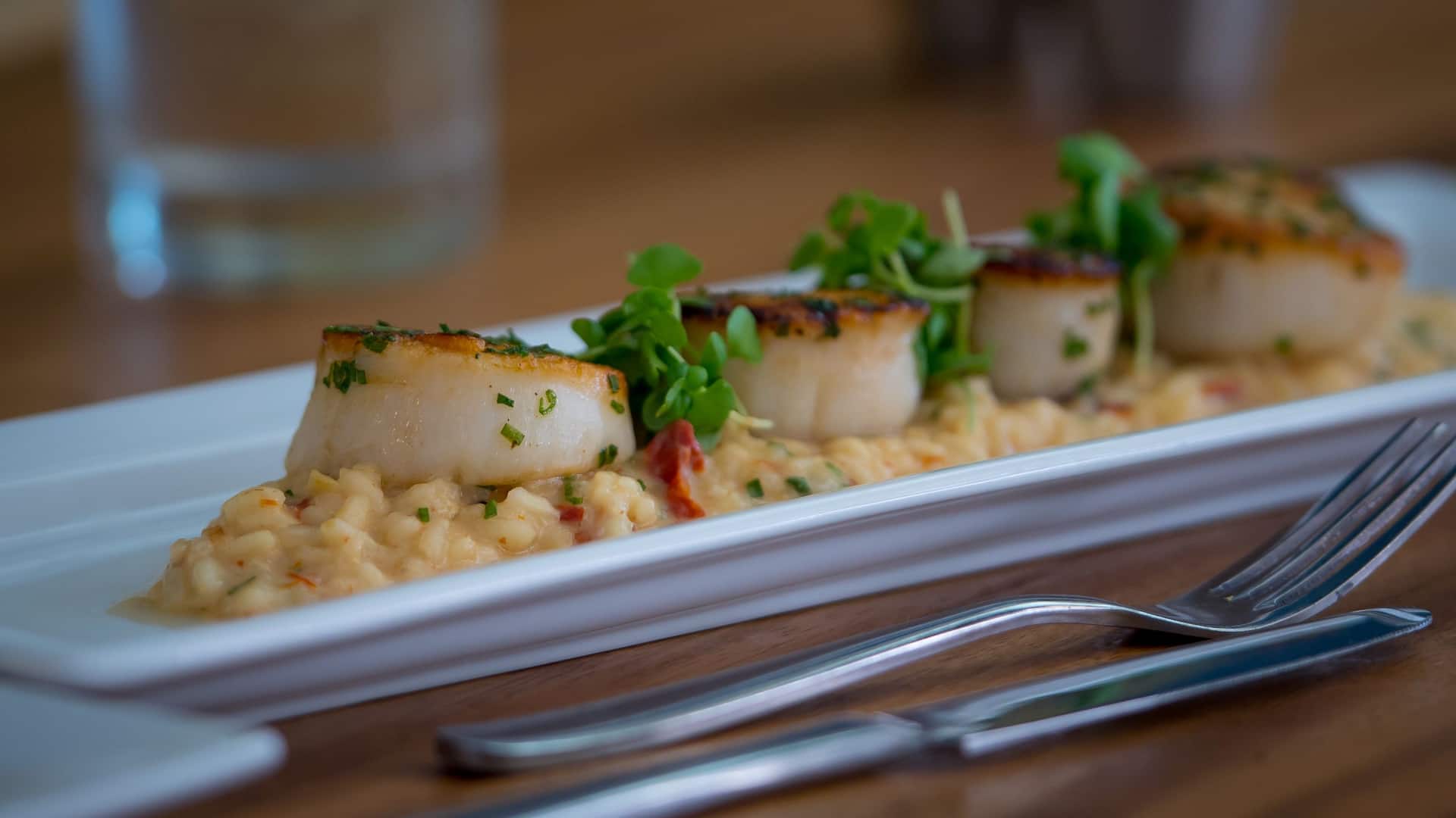 Hyatt House Naples/5th Avenue Scallops Sideview