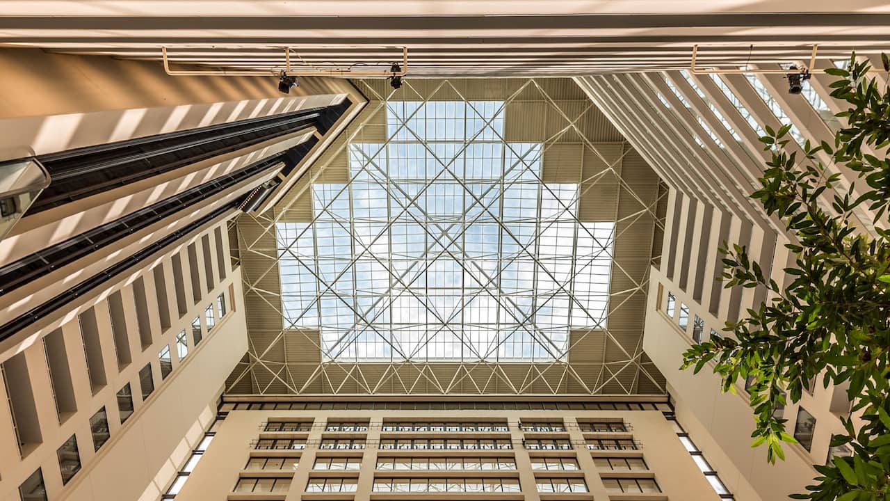Atrium view looking at the ceiling