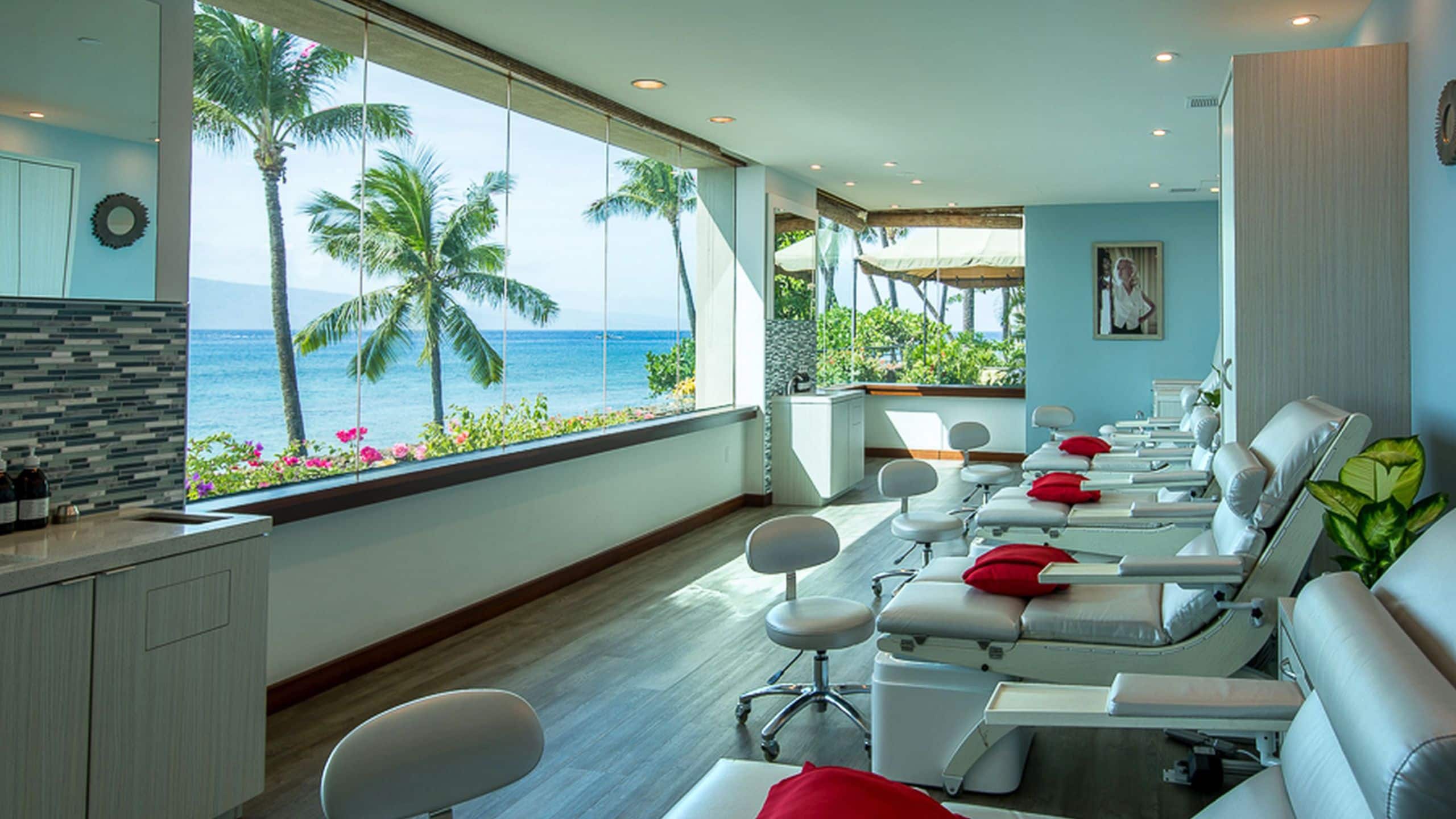 Hyatt Regency Maui Resort and Spa Kamahao Spa Room View