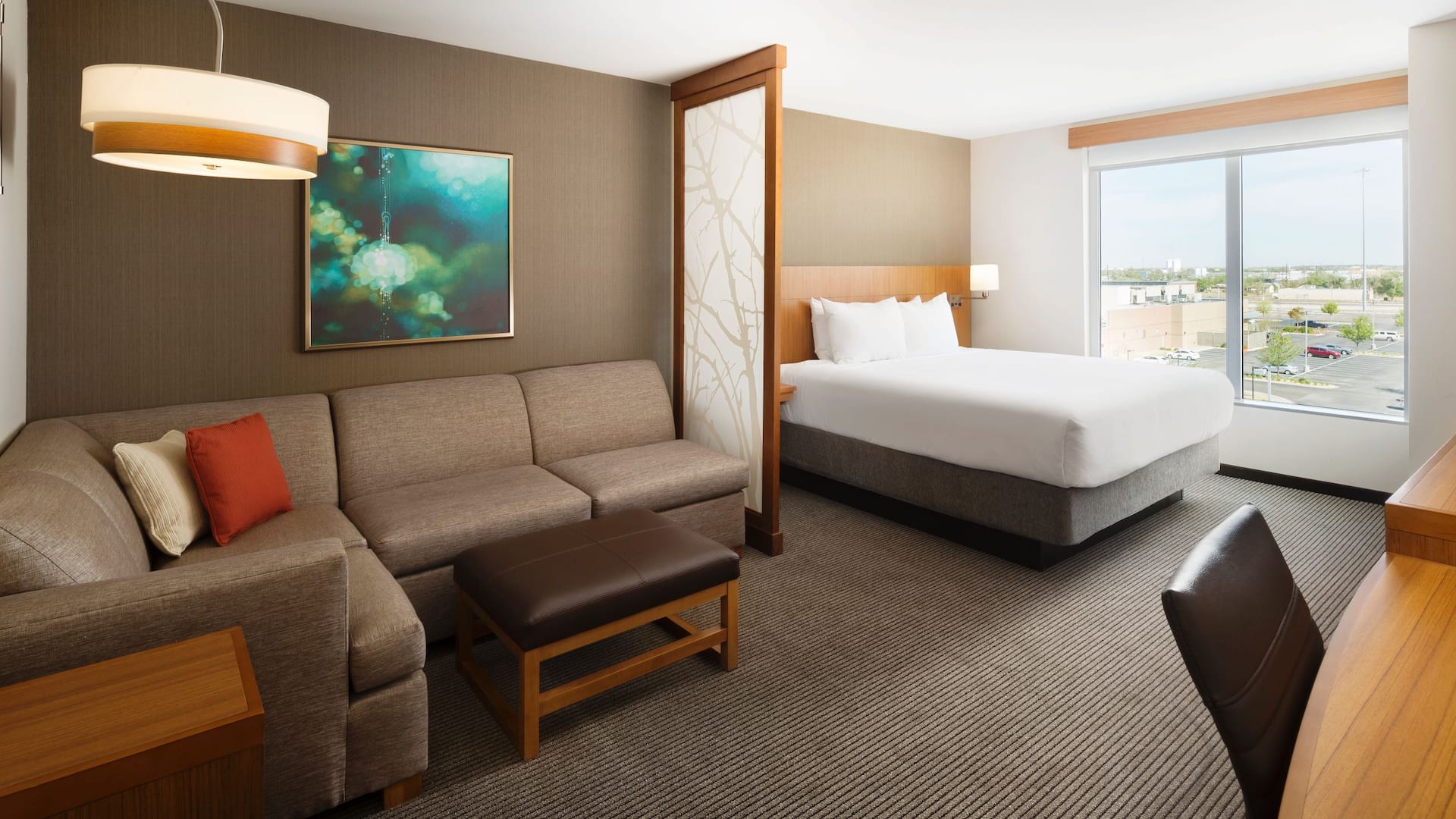 Hyatt Place Lubbock King Entire Room