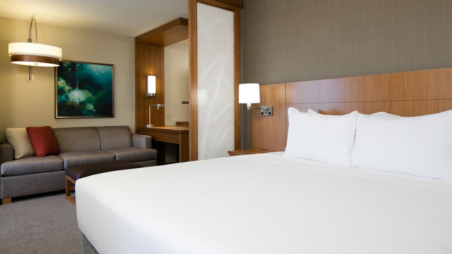 Hyatt Place Kansas City/Lenexa City Center King View Two