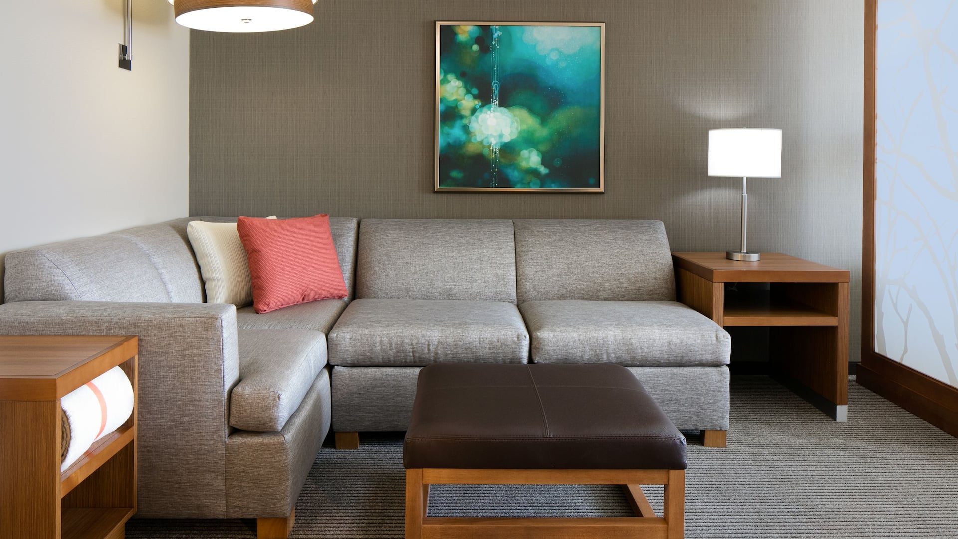 Hyatt Place Kansas City/Lenexa City Center King Sofa Bed