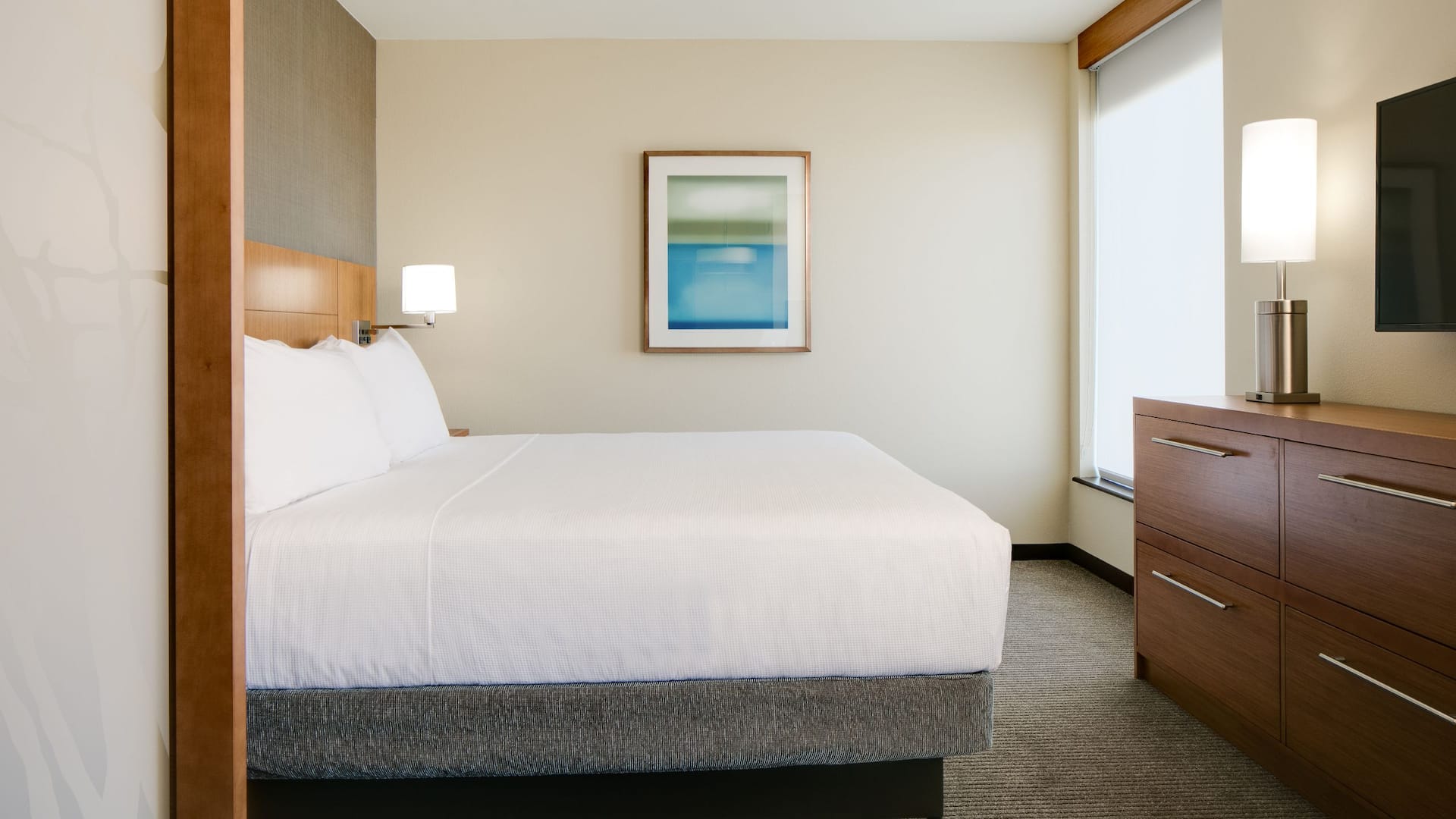 Hyatt Place Kansas City/Lenexa City Center Specialty King
