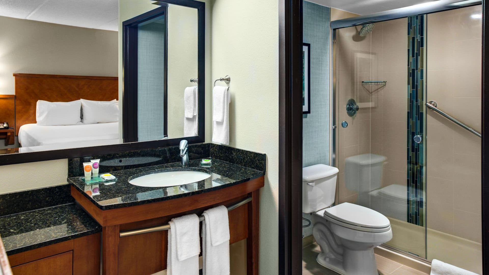 Guestroom Bathroom Shower Vanity Sink Mirror