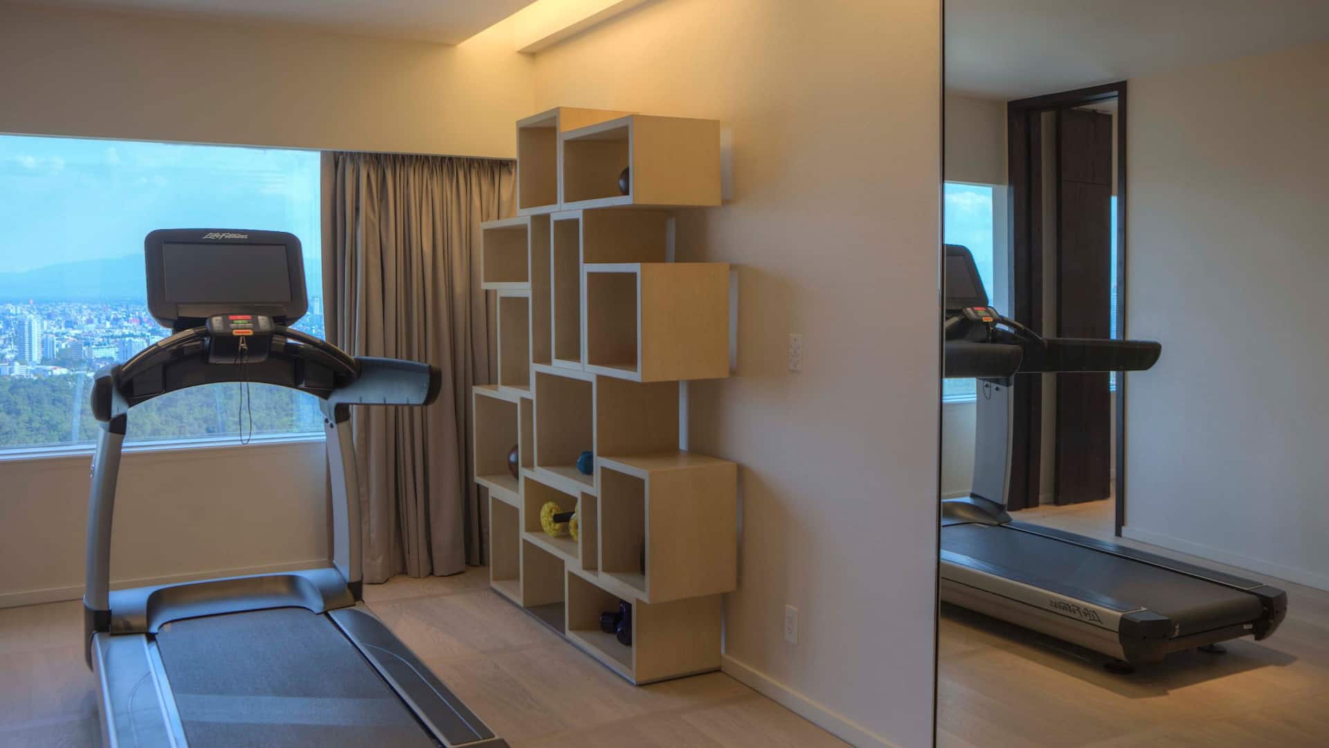 Hyatt Regency Mexico City Presidential Suite Gym