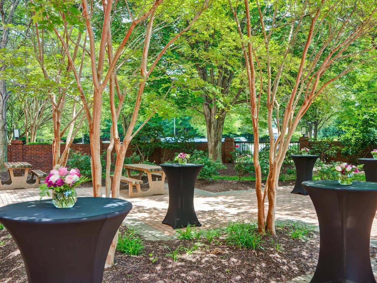 garden area