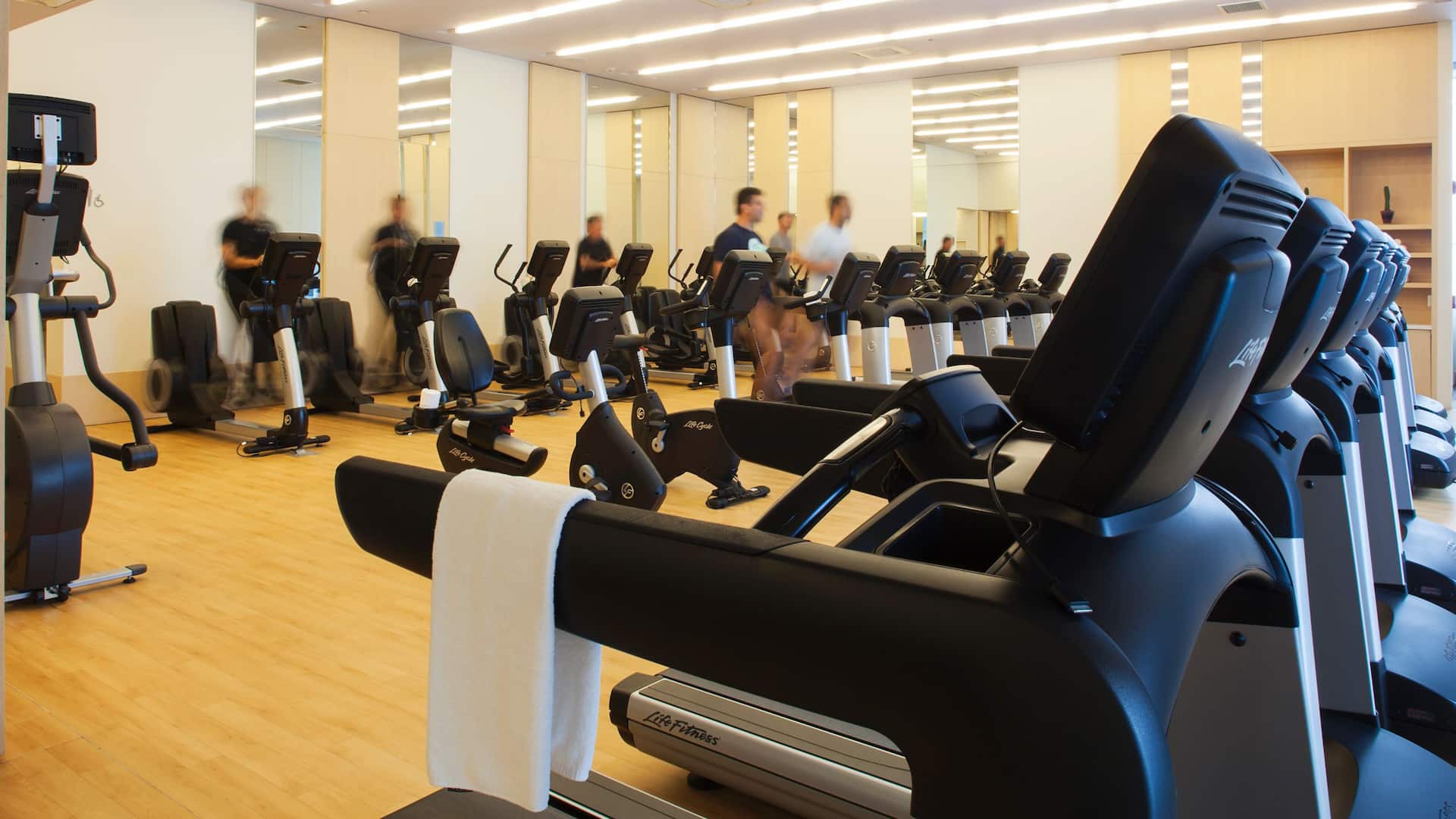 Hyatt Regency Mexico City Fitness Center Cardio