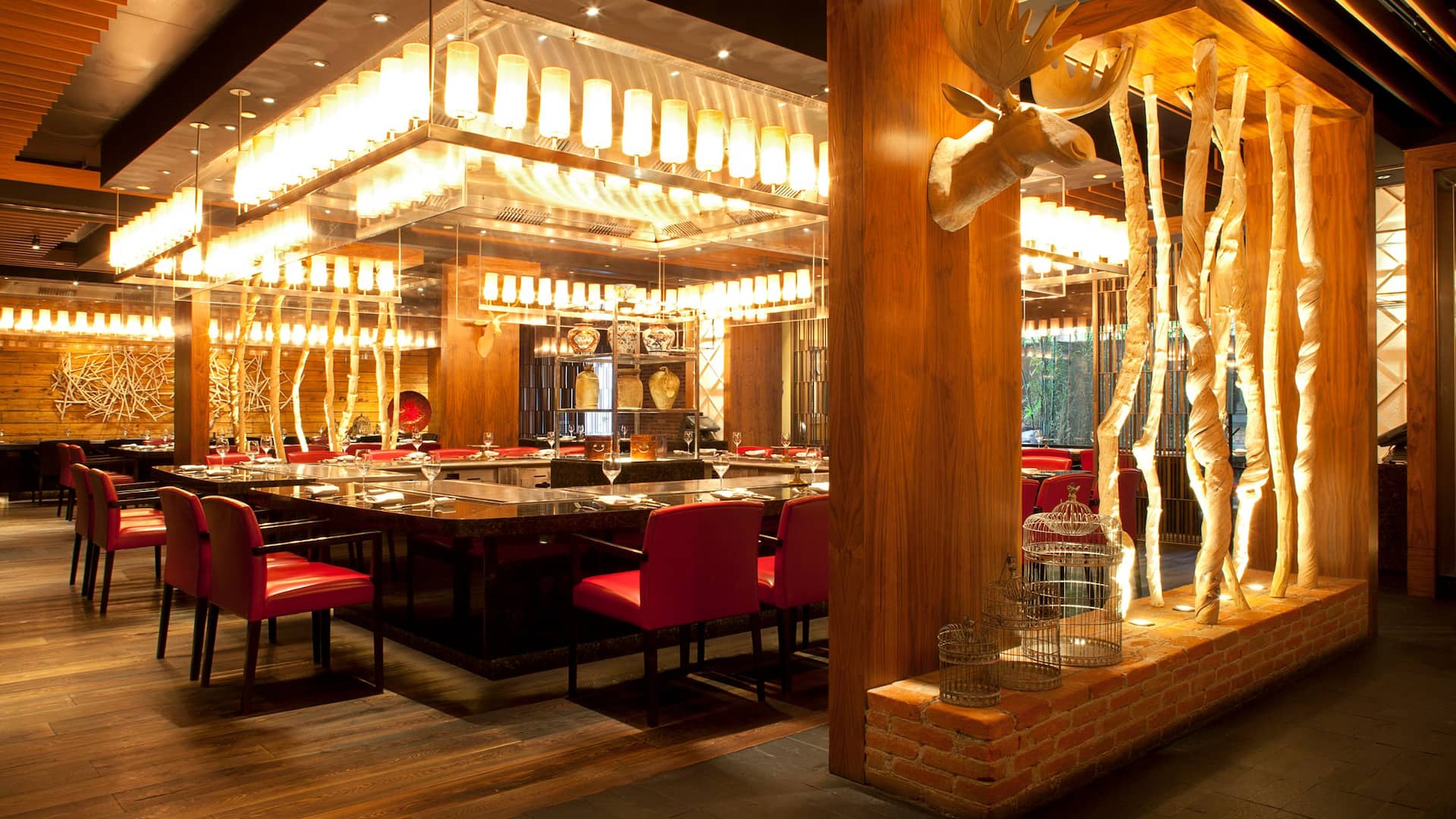 Hyatt Regency Mexico City Teppan Grill