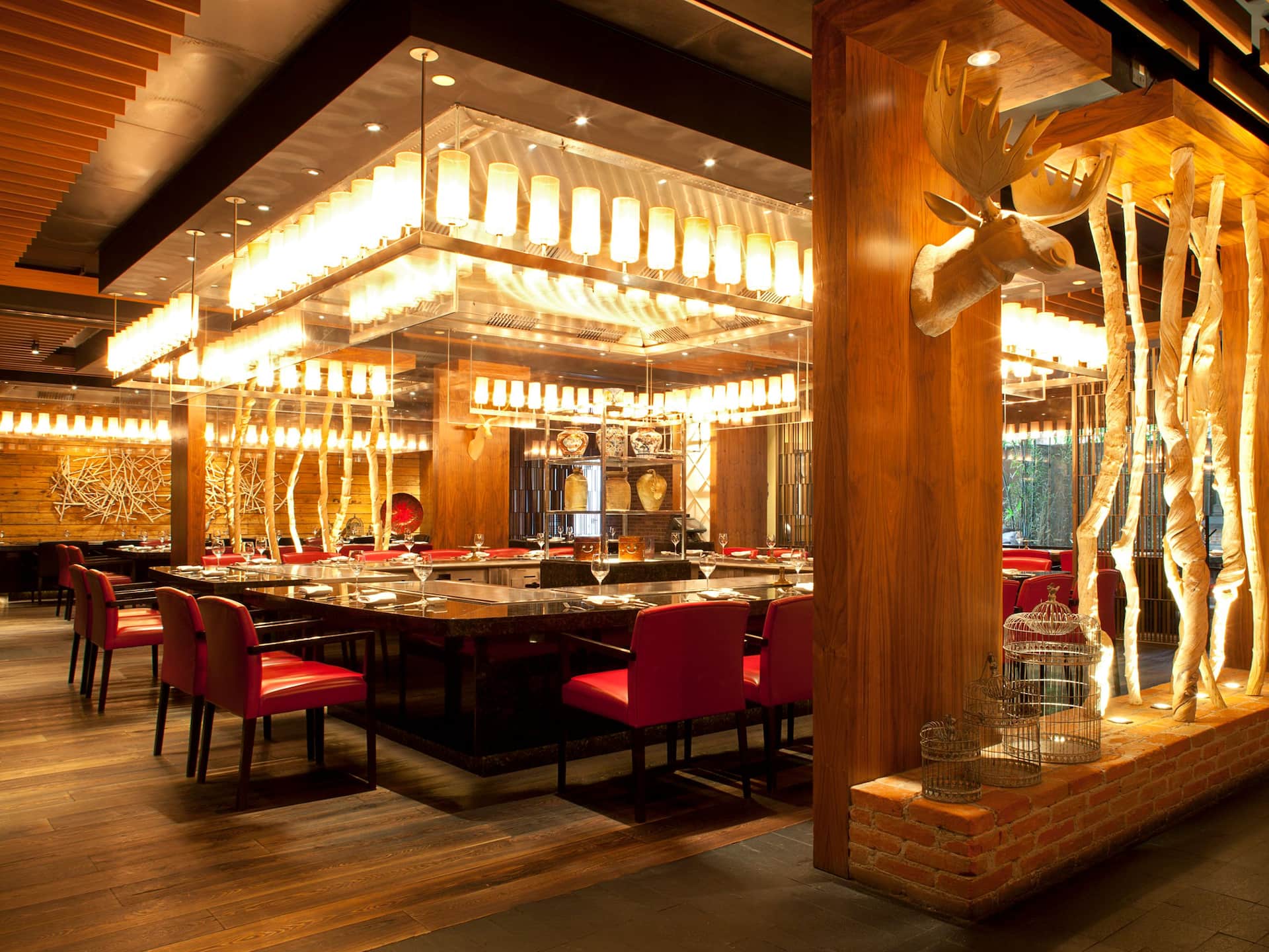 Hyatt Regency Mexico City Teppan Grill