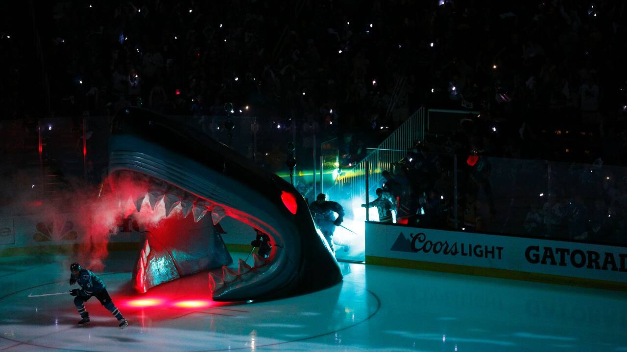 Sharks Entry