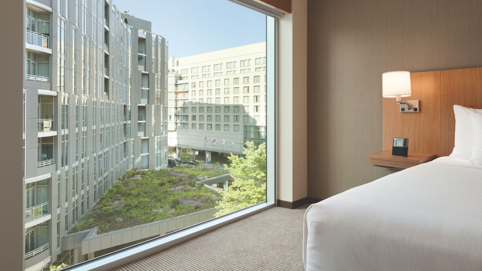King Bed and floor-to-ceiling window at Hyatt Place Washington DC/Georgetown/West End