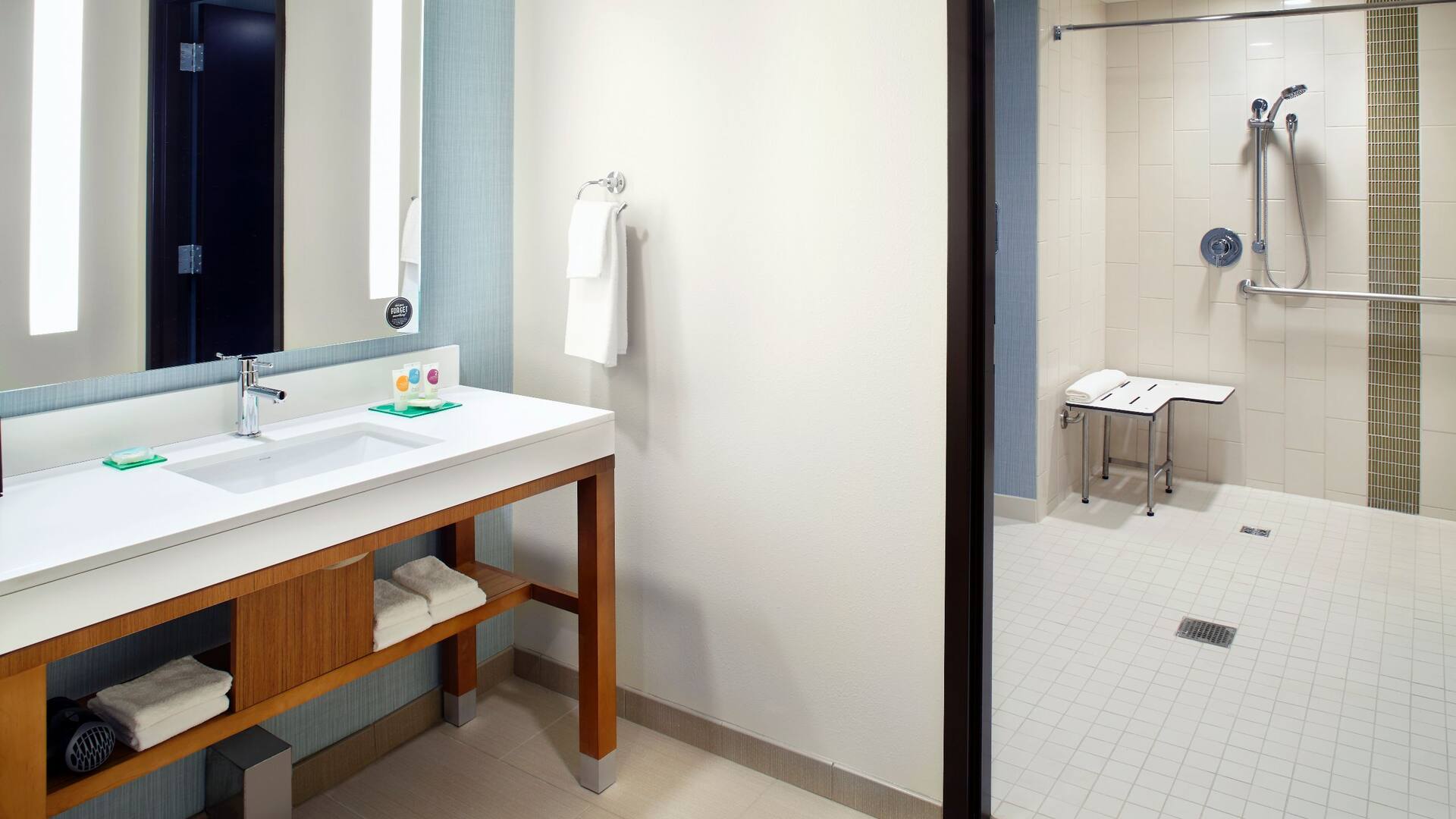 5 of 5 Hyatt Place Cleveland/Lyndhurst/Legacy Village ADA Bath Roll In