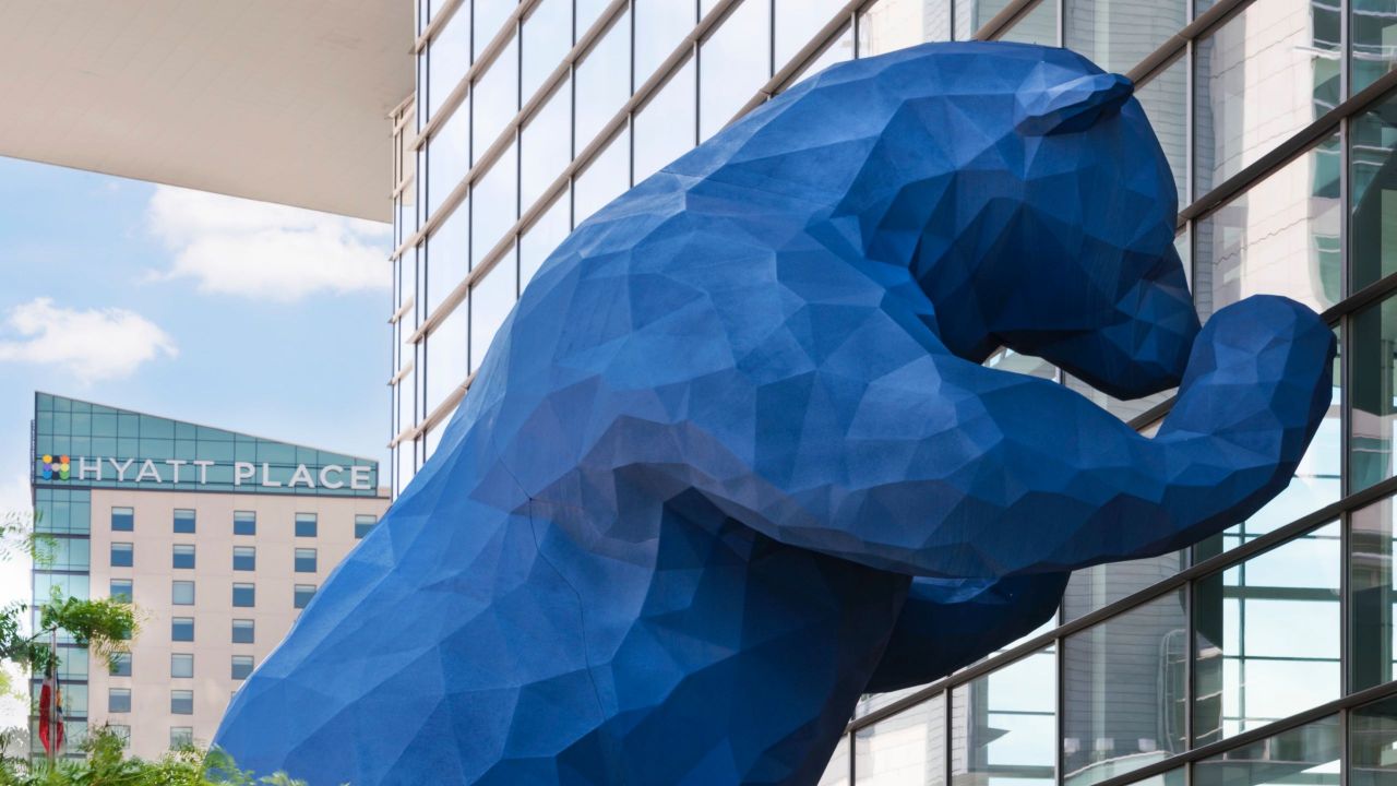 Downtown Denver Hotels Hyatt House Convention Bear