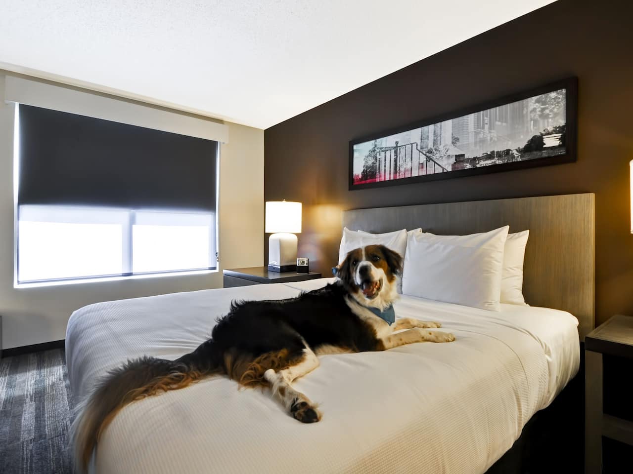 Downtown Milwaukee Hotels Pet Friendly at Hyatt Place Milwaukee Downtown