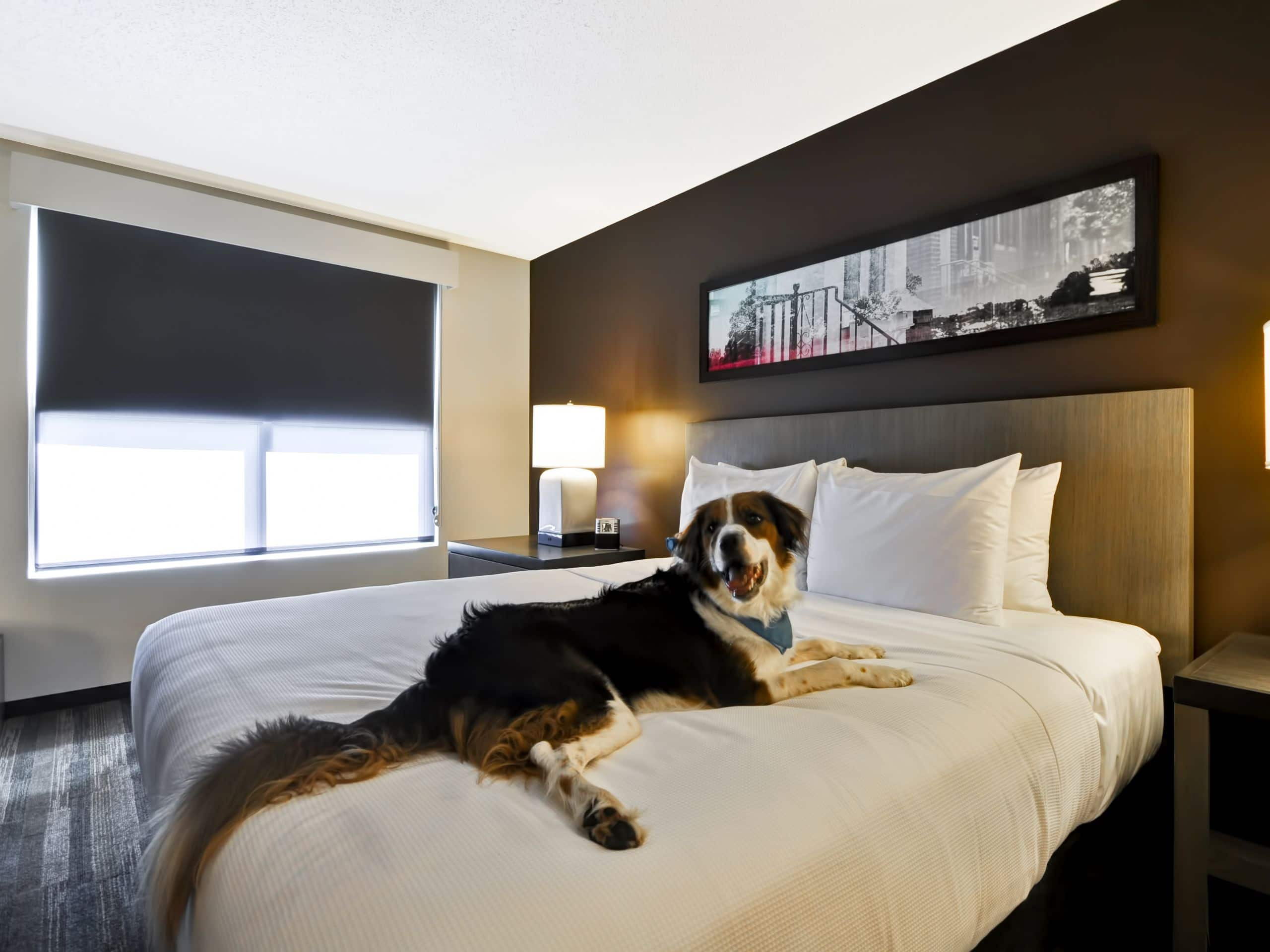 Hyatt House Atlanta/Cobb Galleria King Pet