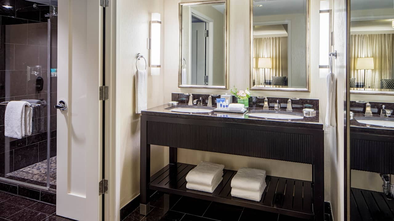 Guest Bathroom Hyatt Regency Washington on Capitol Hill 