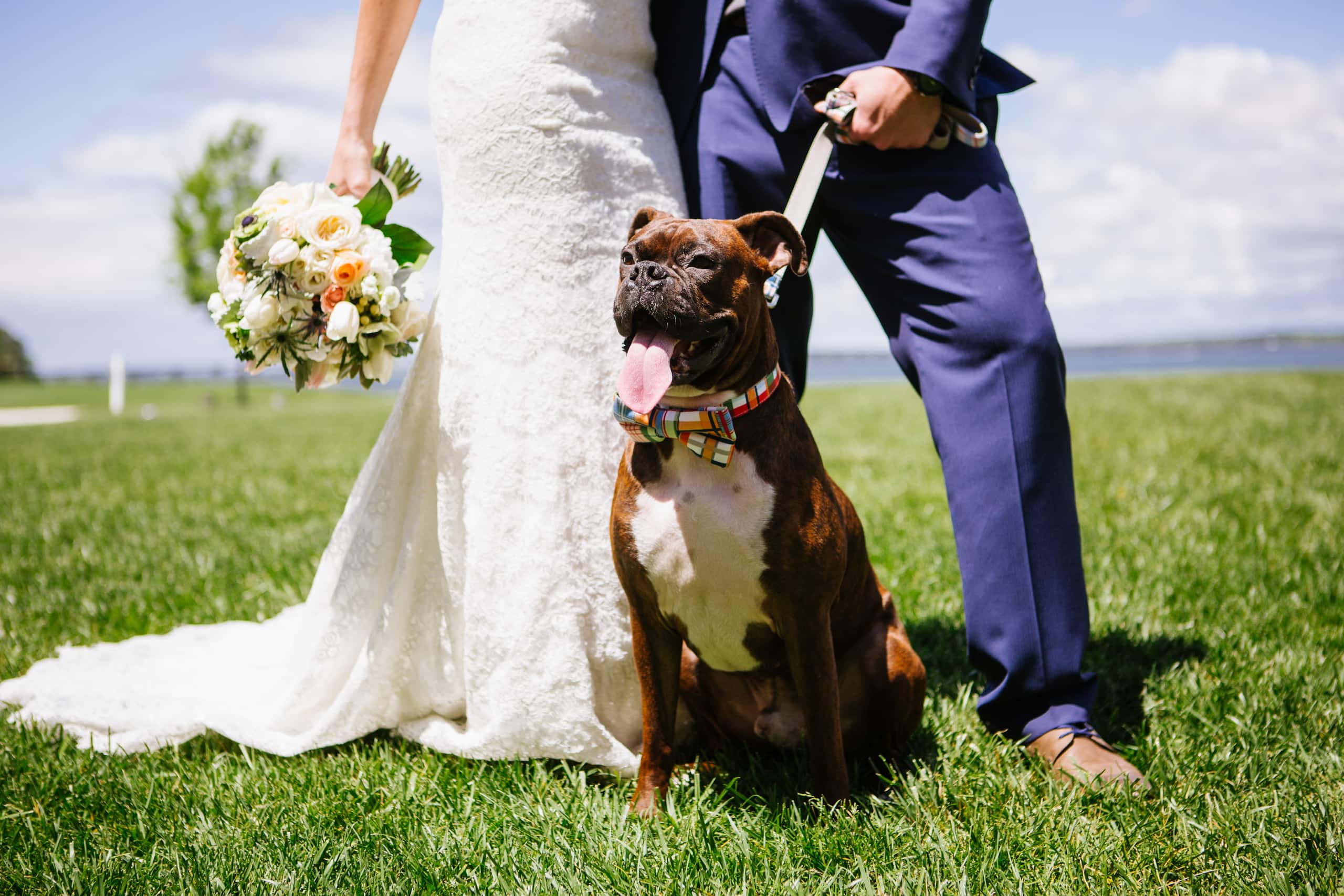 Hyatt Regency Chesapeake Bay Golf Resort, Spa and Marina Wedding Dog