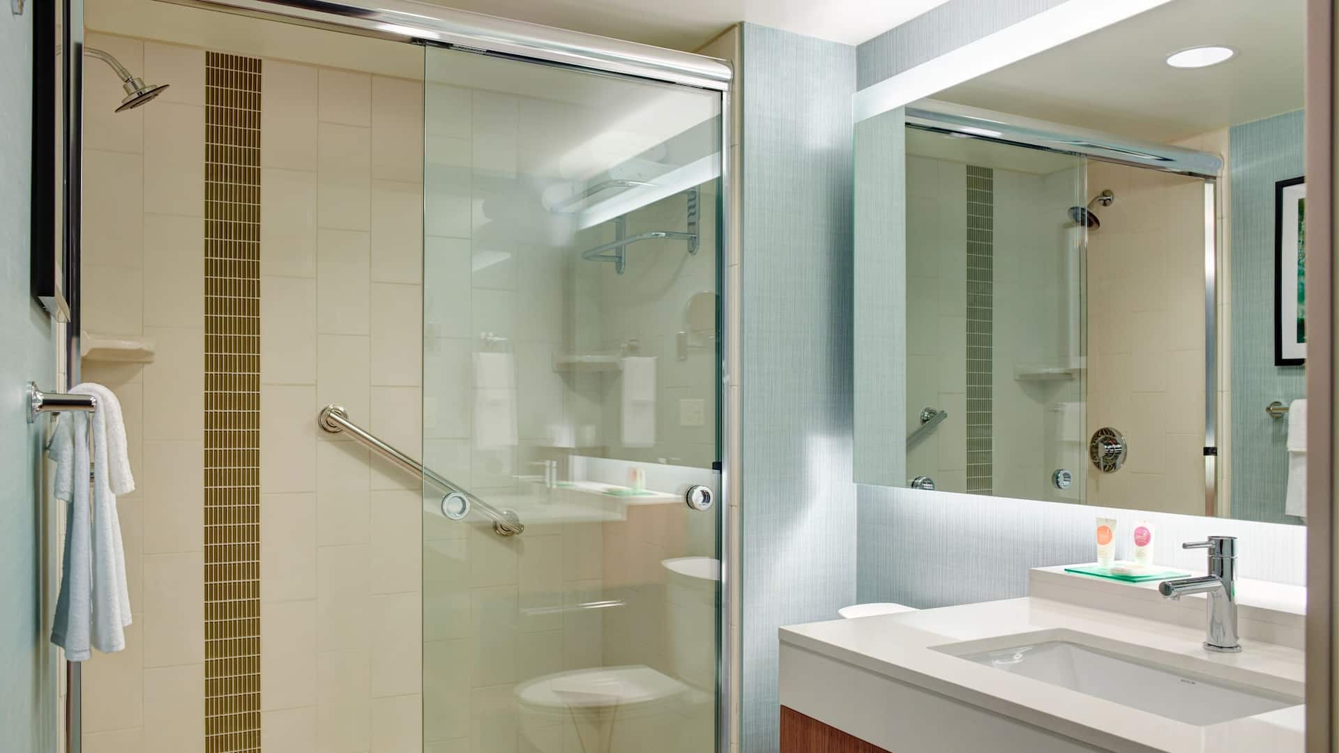 4/4 Hyatt Place Arlington/Courthouse Plaza Guest Bathroom