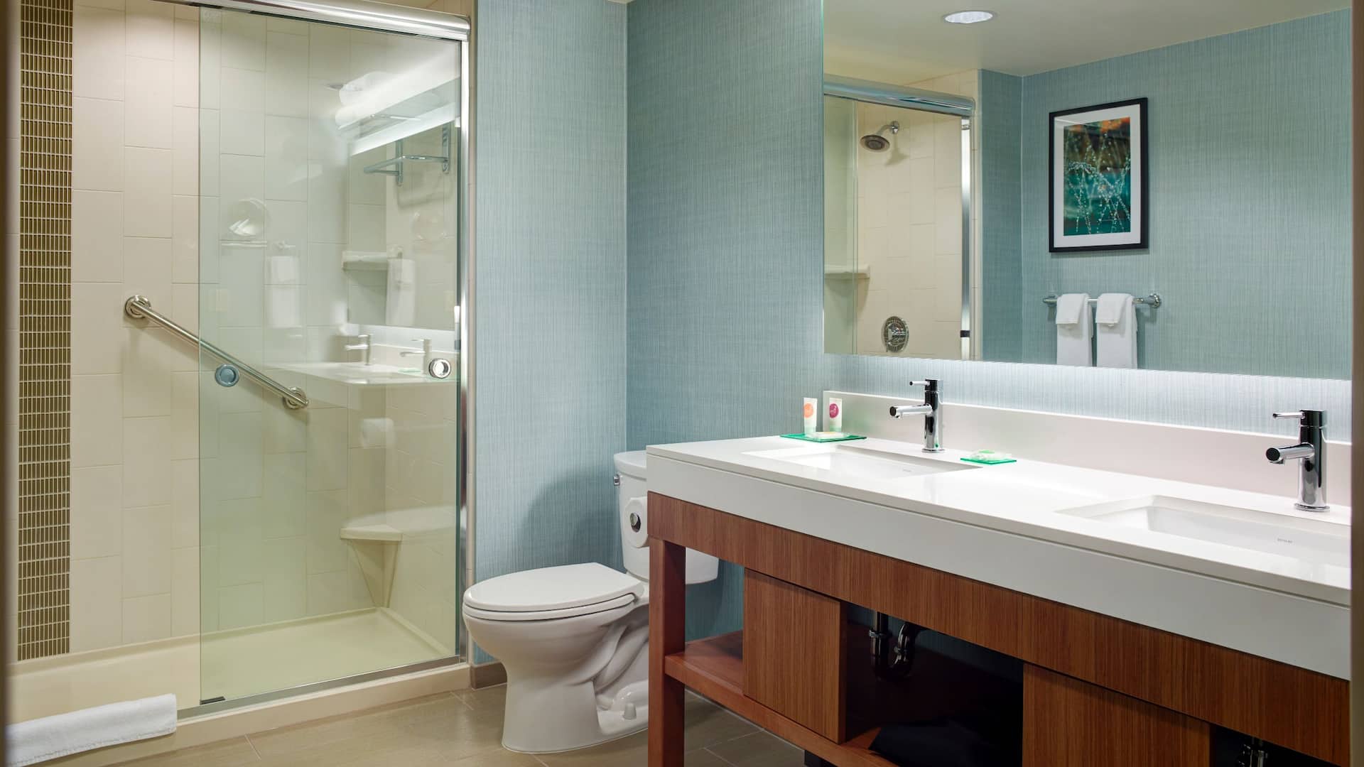 4/5 Hyatt Place Arlington/Courthouse Plaza One Bedroom Suite Bath