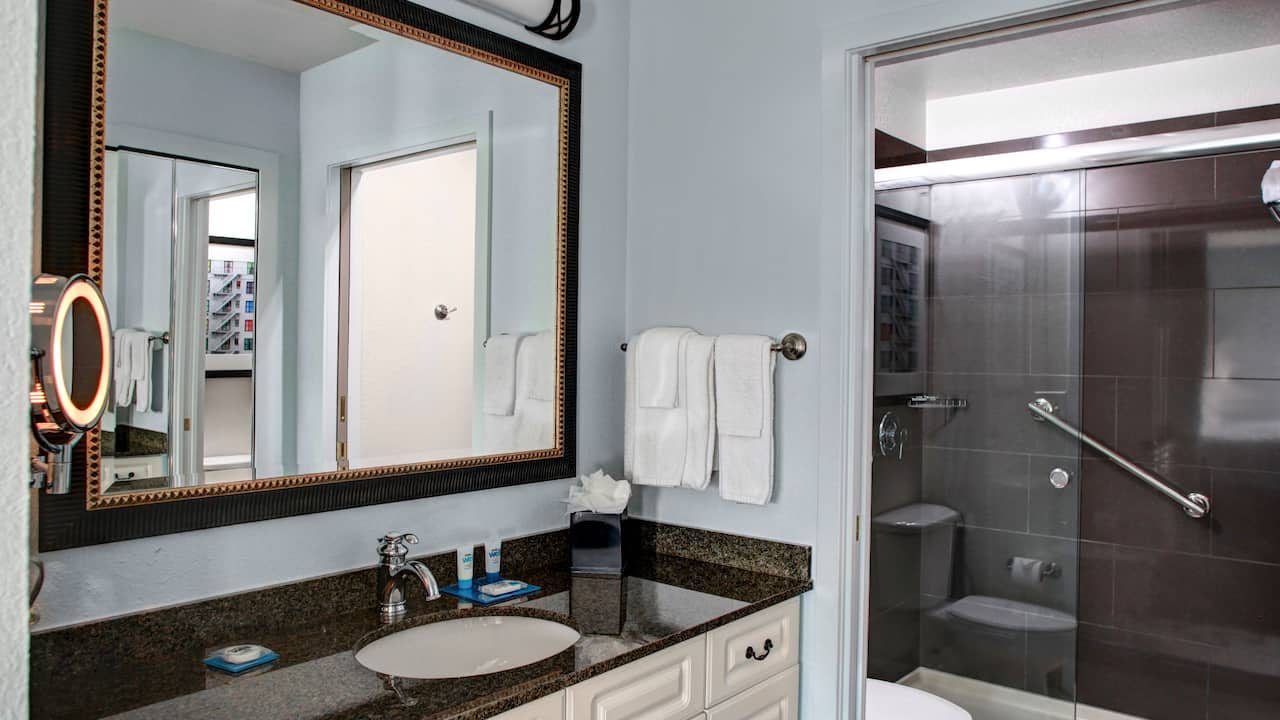 Suite Bathroom 