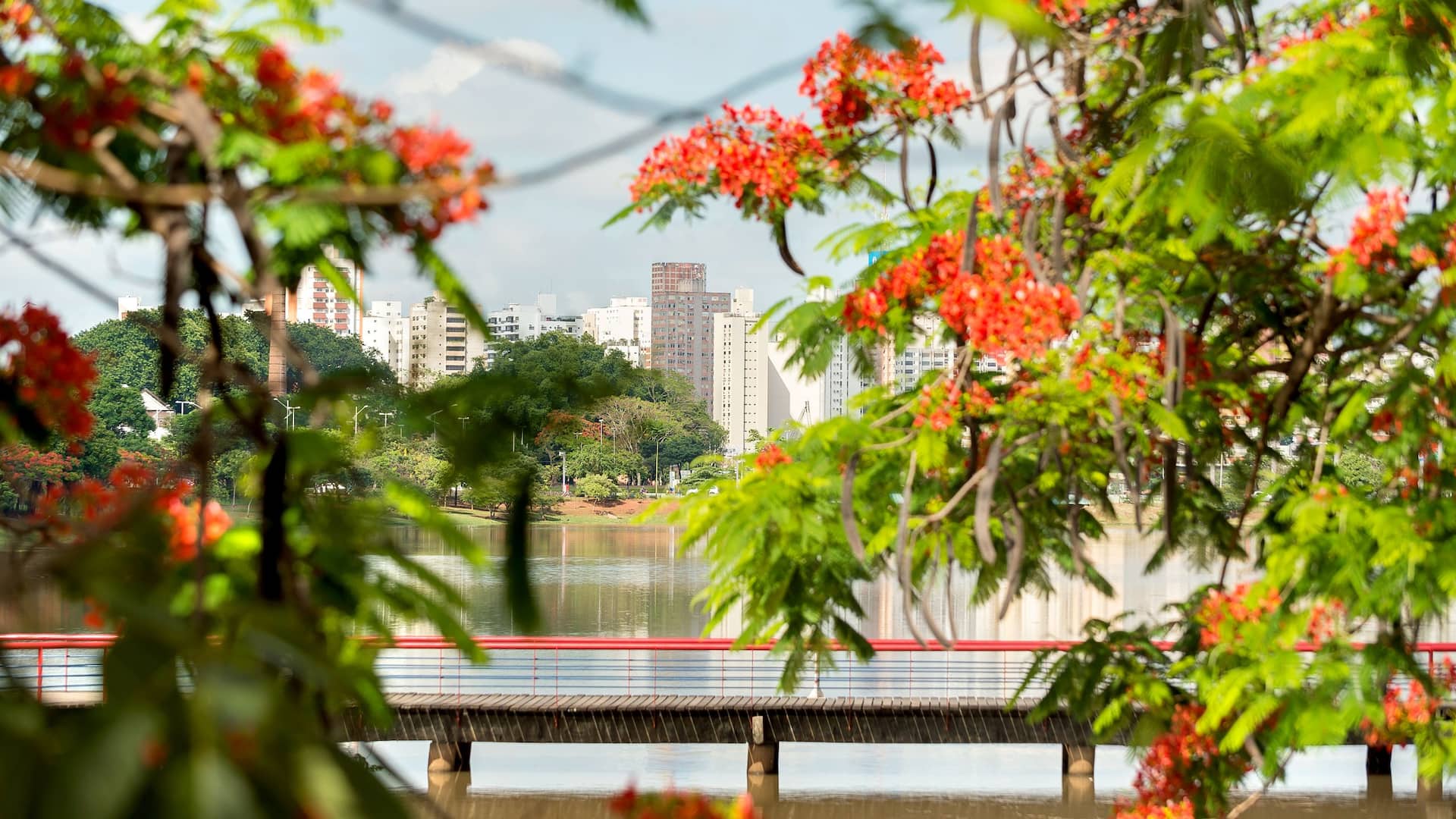 Hyatt Place Sao Jose do Rio Preto Destination Represa Nature
