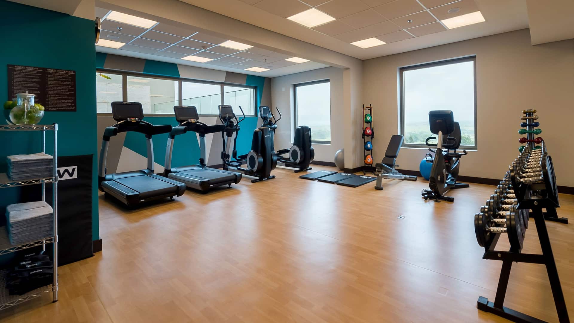 Hyatt Place Sao Jose do Rio Preto Gym General