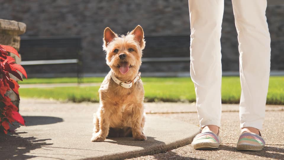 Hotels in Livonia, MI Hyatt Place Detroit Livonia