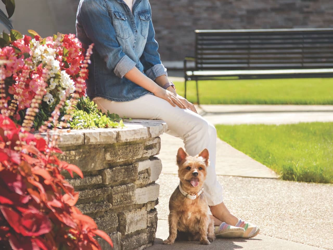 Pet Friendly Courtyard