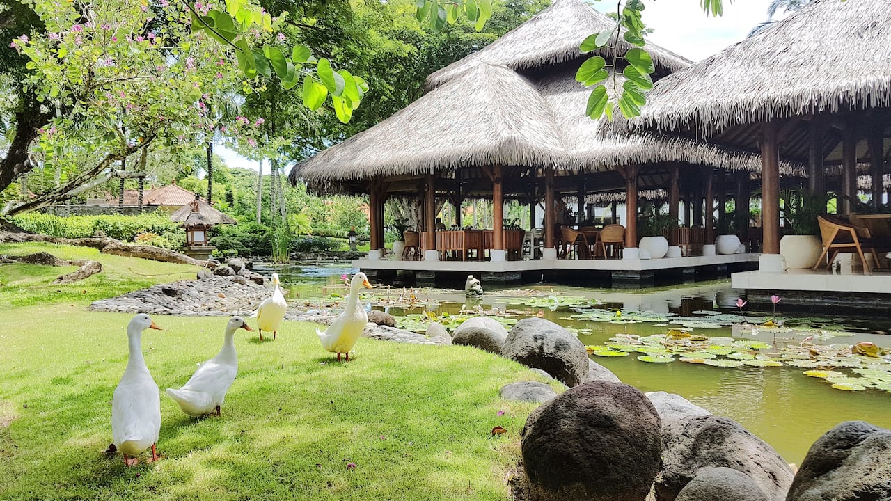 Grand Club Lounge Pond