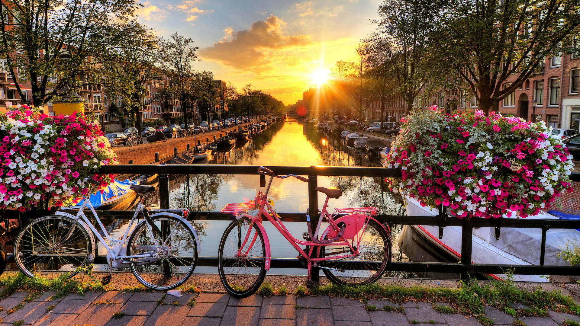 Canal View Bike Flowers