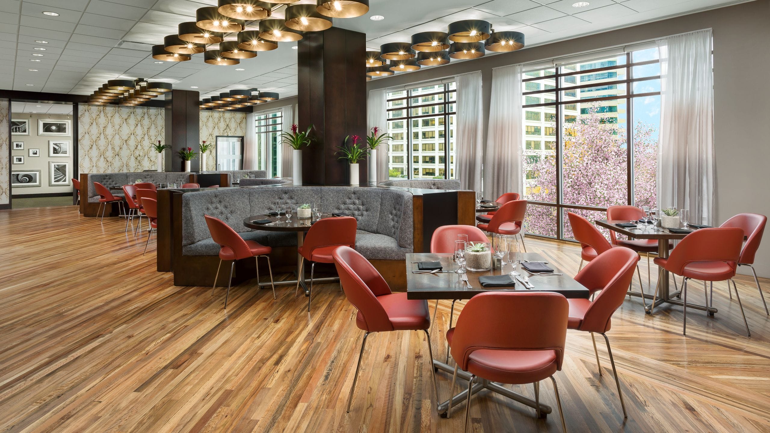 2 of 6 Hyatt Centric Arlington Cityhouse Day