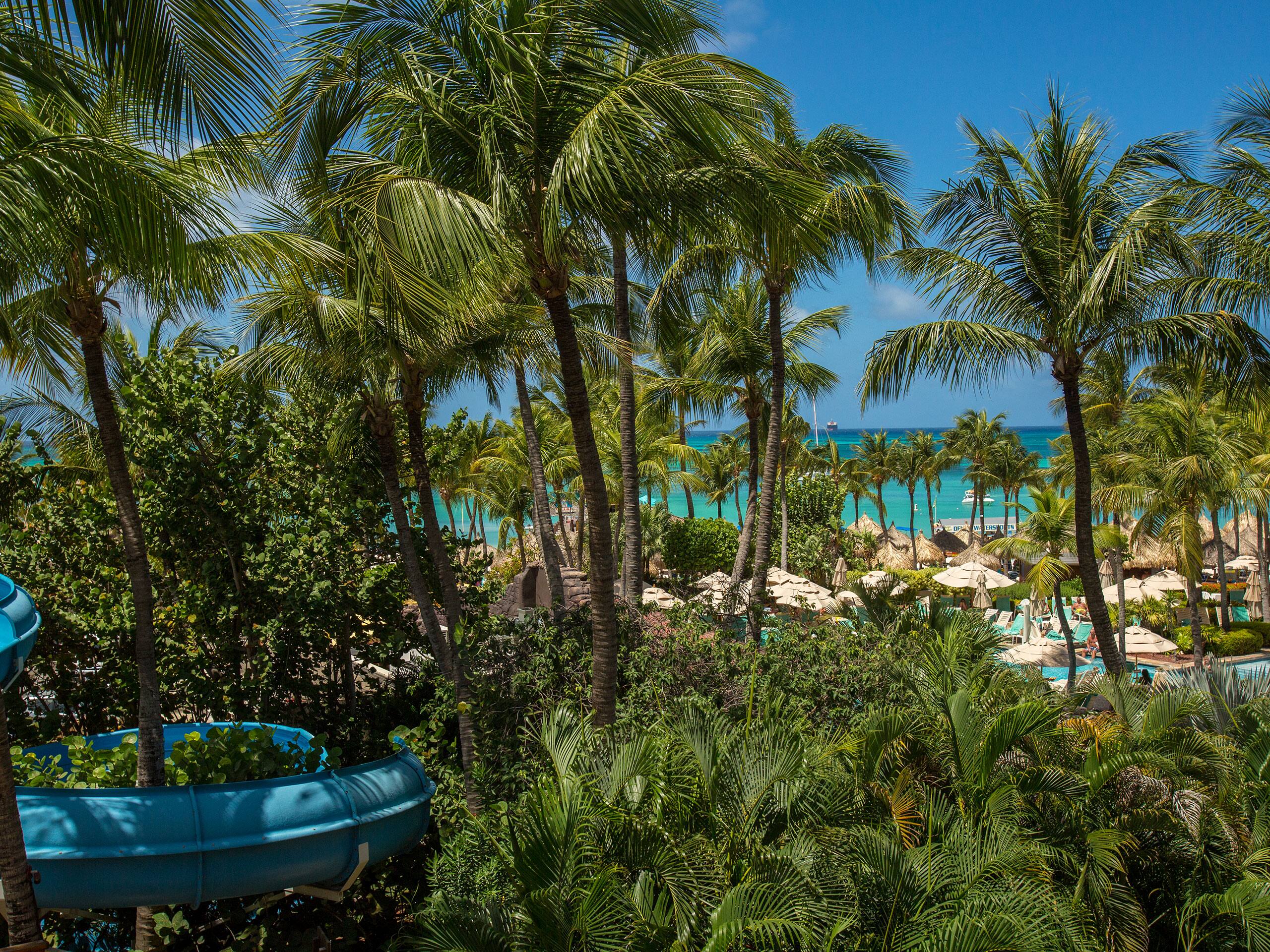 Garden Pool Executive Suite View