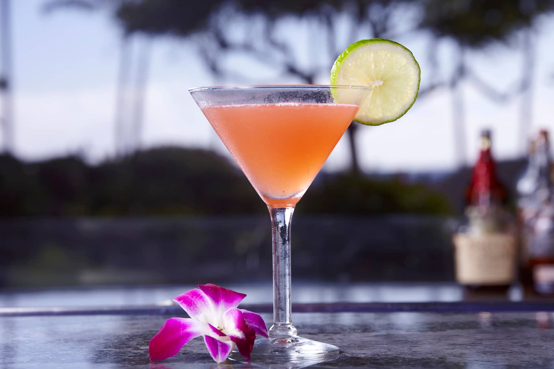 Hyatt Regency Maui Resort and Spa Sonz Cocktail