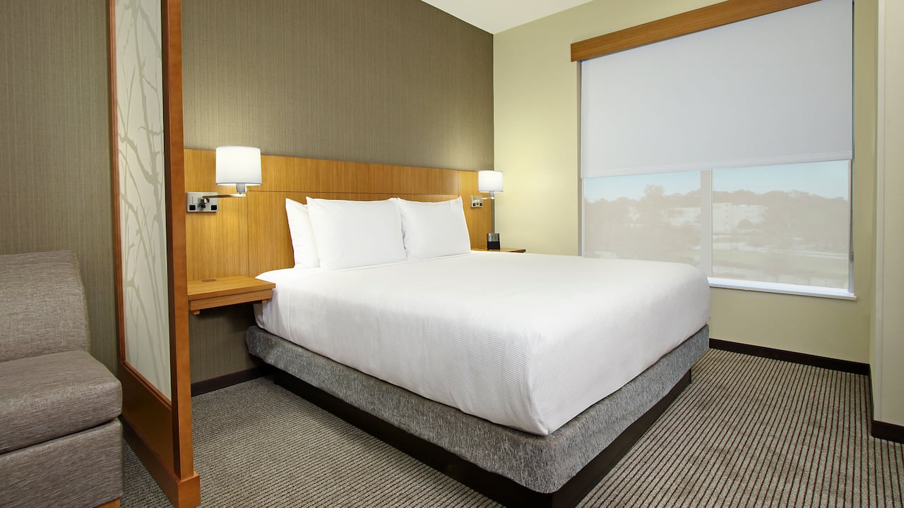 king bedroom with sofa bed