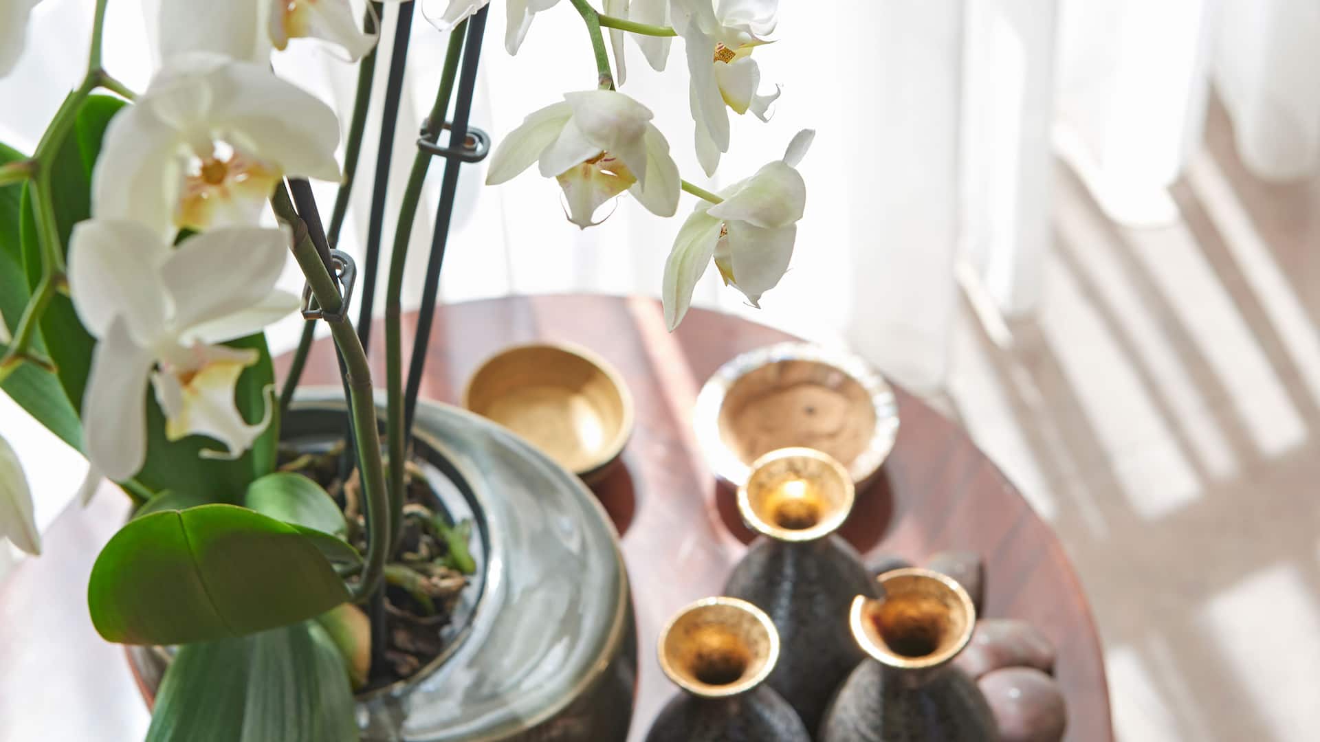 1 из 2 Hyatt Regency Baku Spa Flower