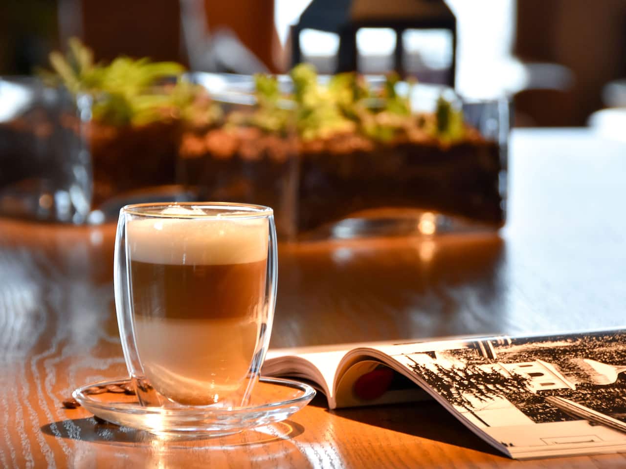 coffee