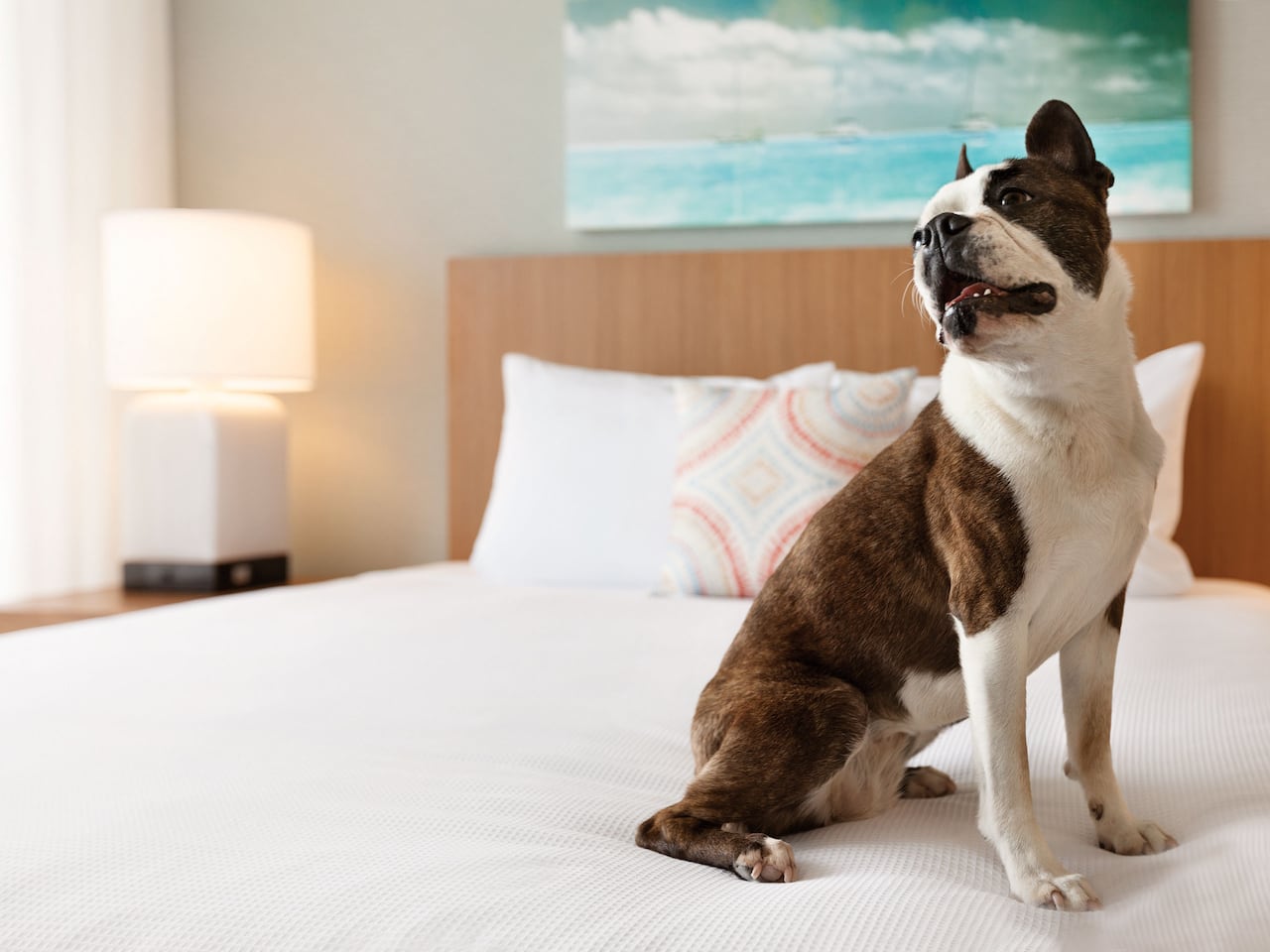 Downtown Milwaukee Hotels Pet Friendly at Hyatt Place Milwaukee Downtown