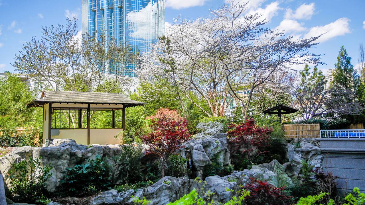 Zen Garden at Grand Hyatt Atlanta