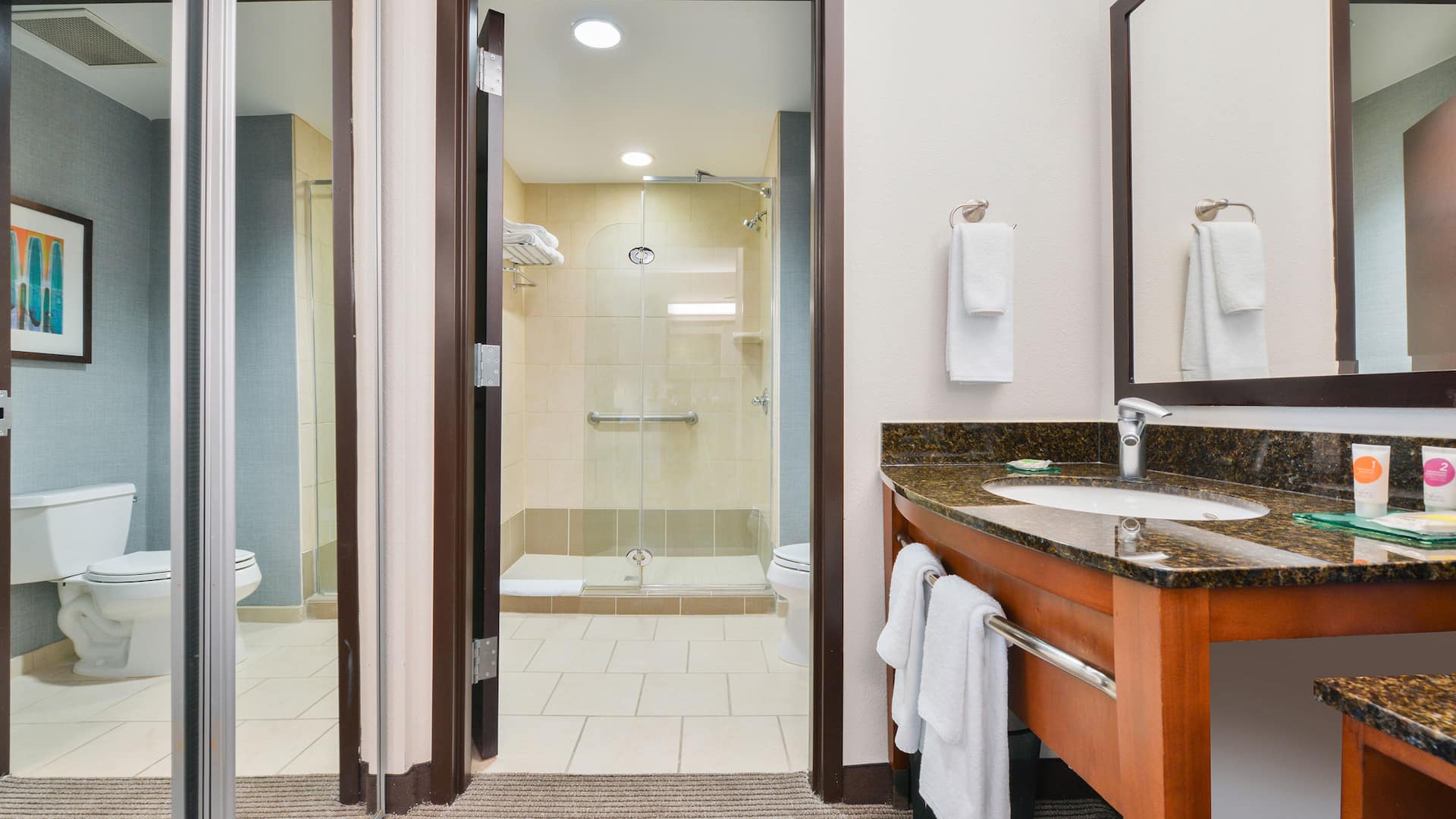 2 of 3 Hyatt Place Chesapeake/Greenbrier King Bathroom