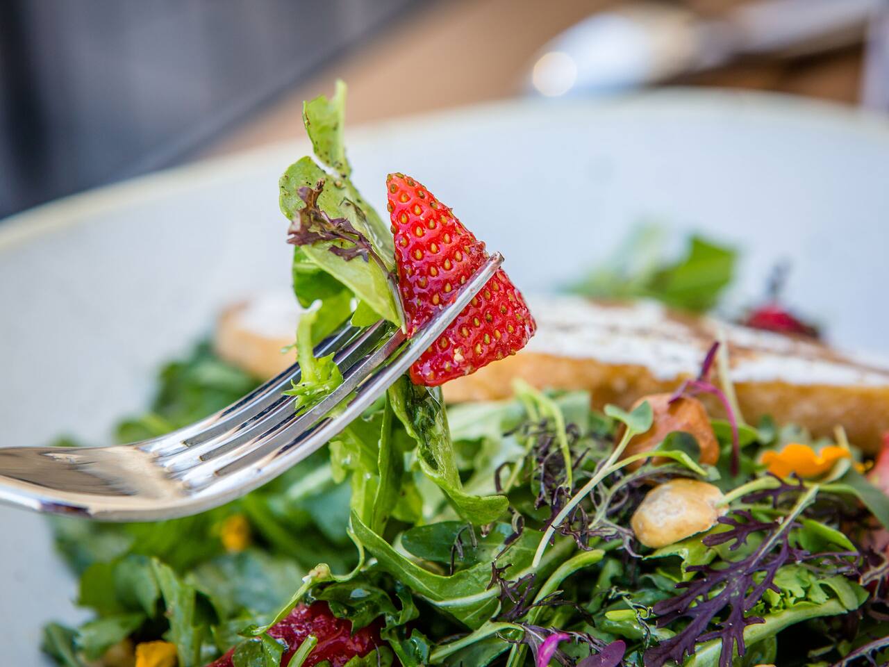 Salad from Moss + Oak Savannah Eatery at Hyatt Regency Savannah