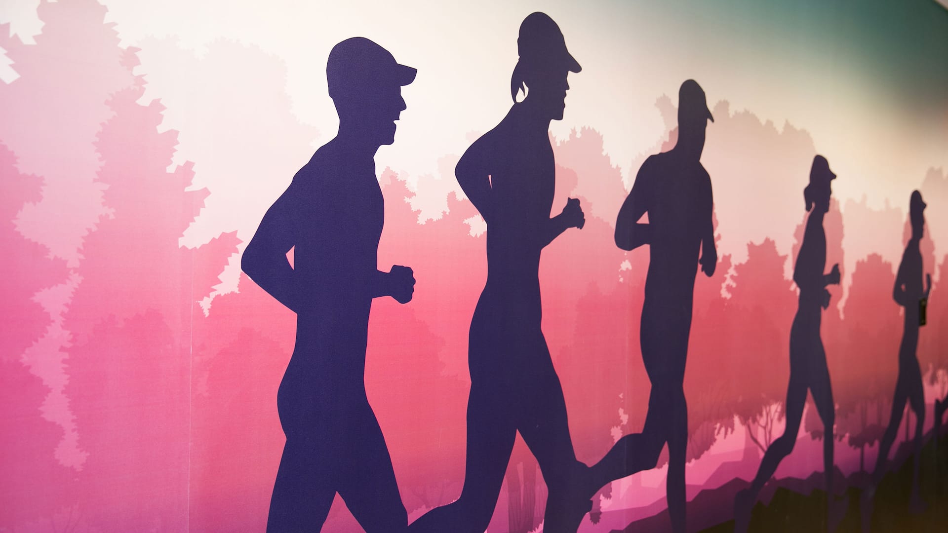 Hyatt Place Nashville/Franklin/Cool Springs Fitness Wall