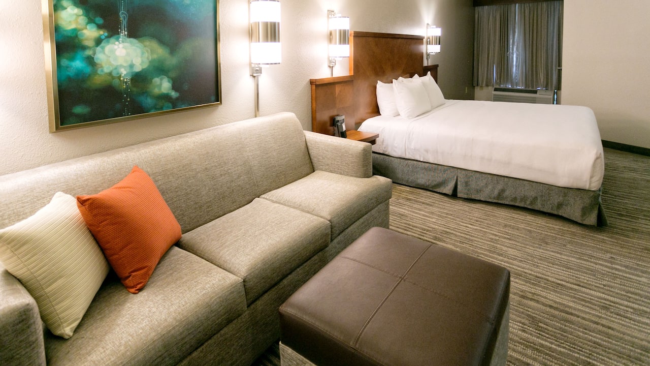 Pet friendly room at a hotel near Cool Springs Galleria in Franklin, TN