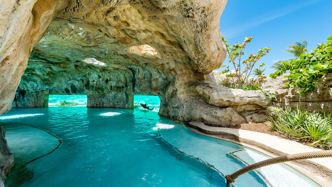 Photos + Reviews Grand Hyatt Baha Mar