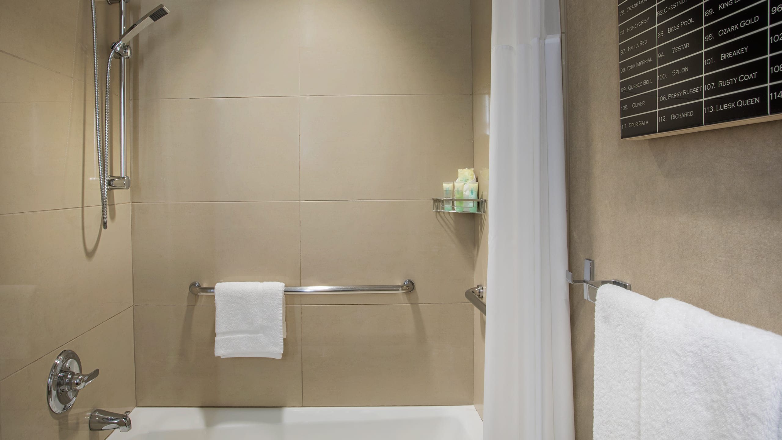 2 of 4 Hyatt Grand Central New York ADA Bathroom Shower