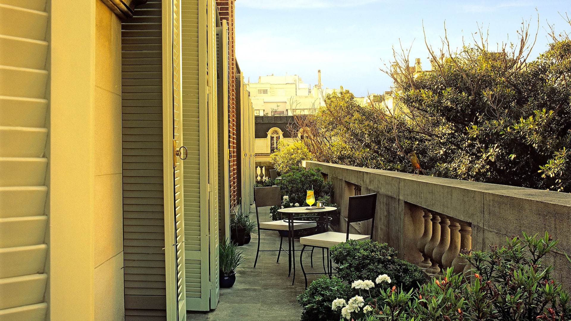 Duhau Suite Terrace