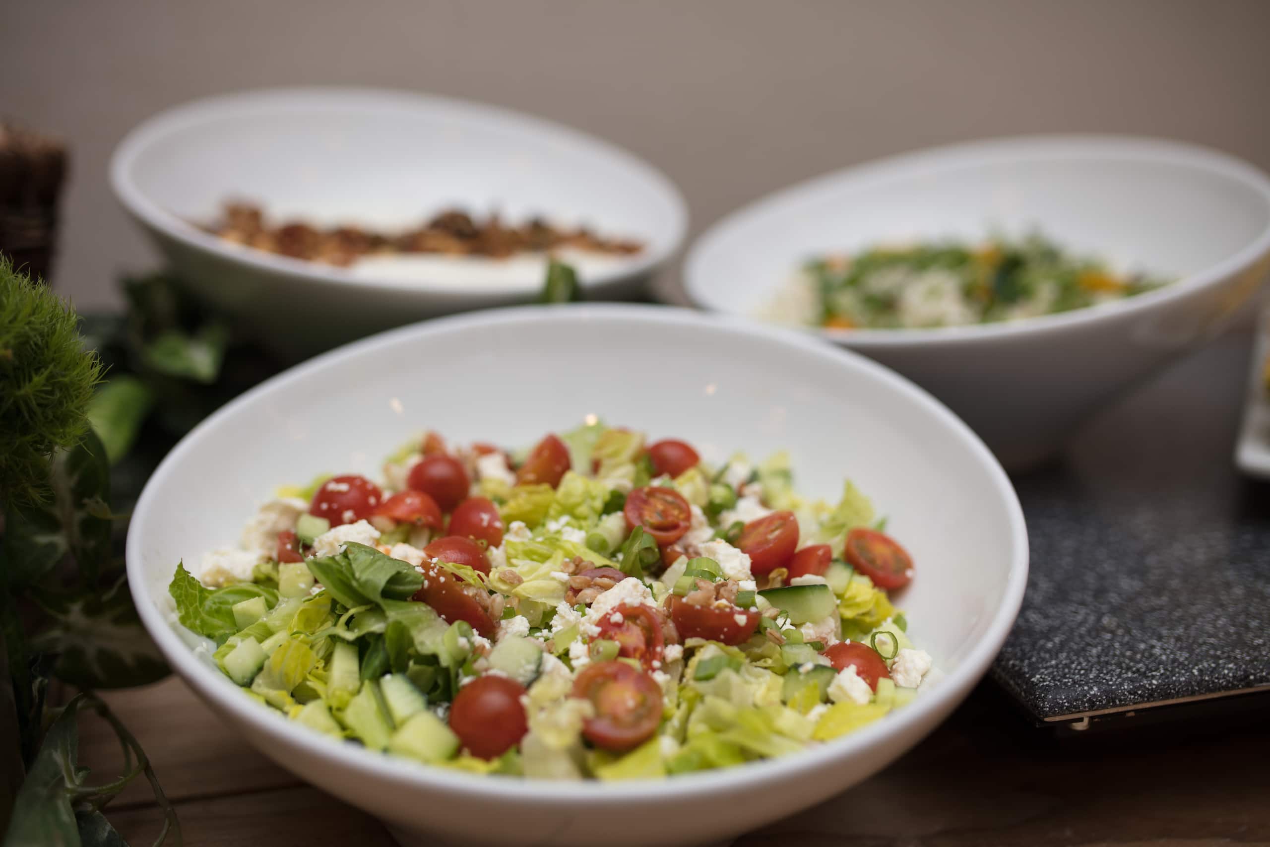 Hyatt Place Chicago/River North Ema Salads