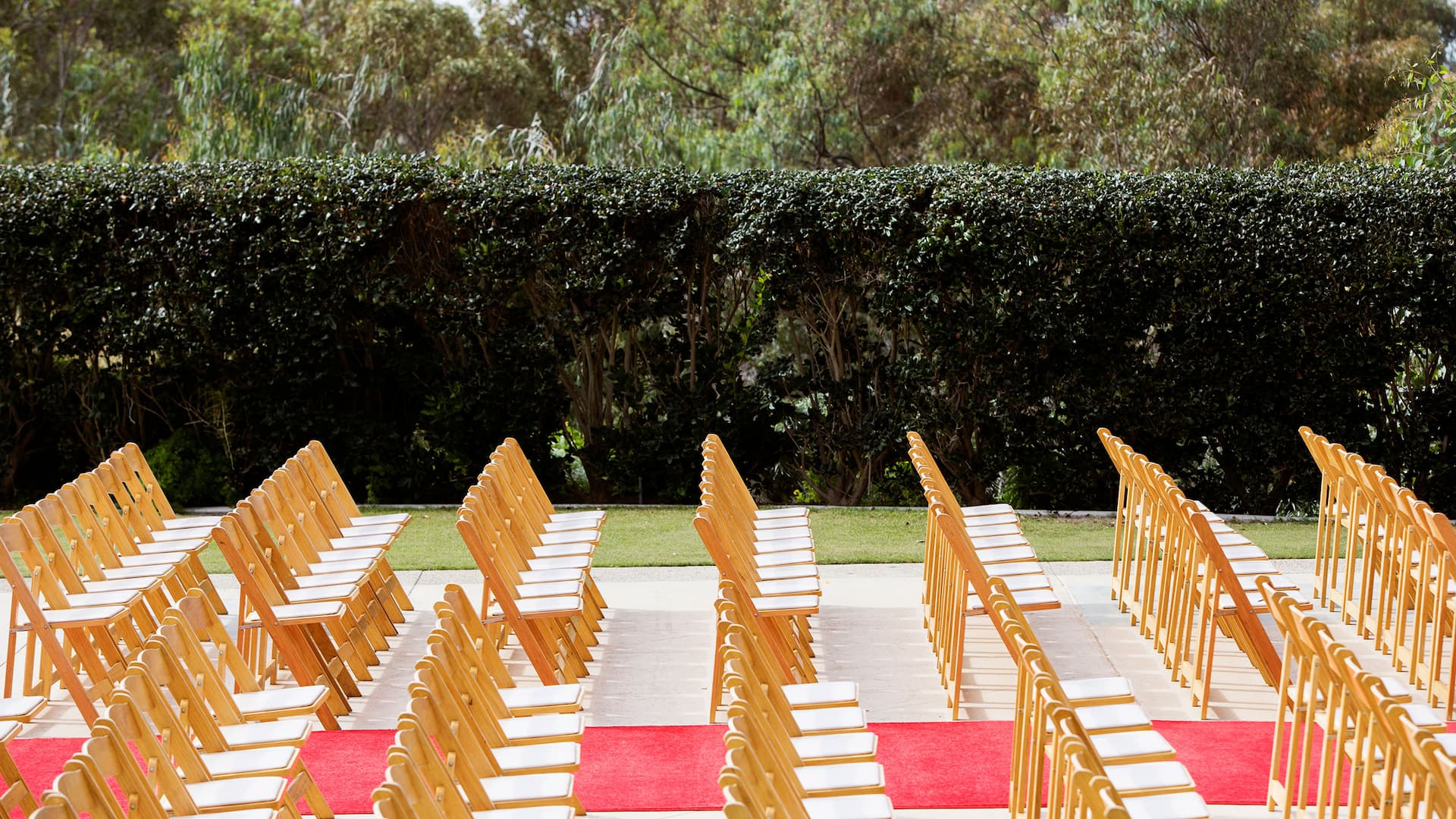 Hyatt Regency Events Wedding Chairs