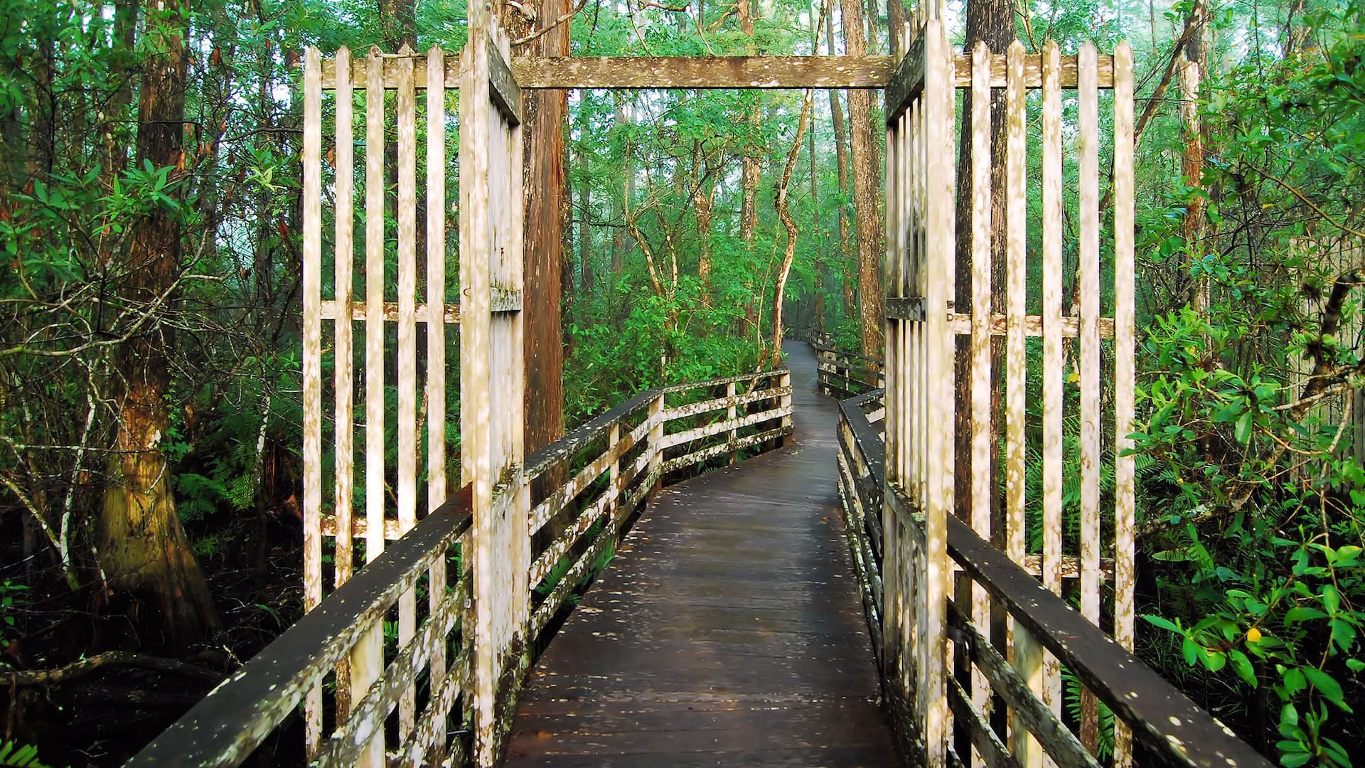 Hyatt House Naples/5th Avenue Boardwalk
